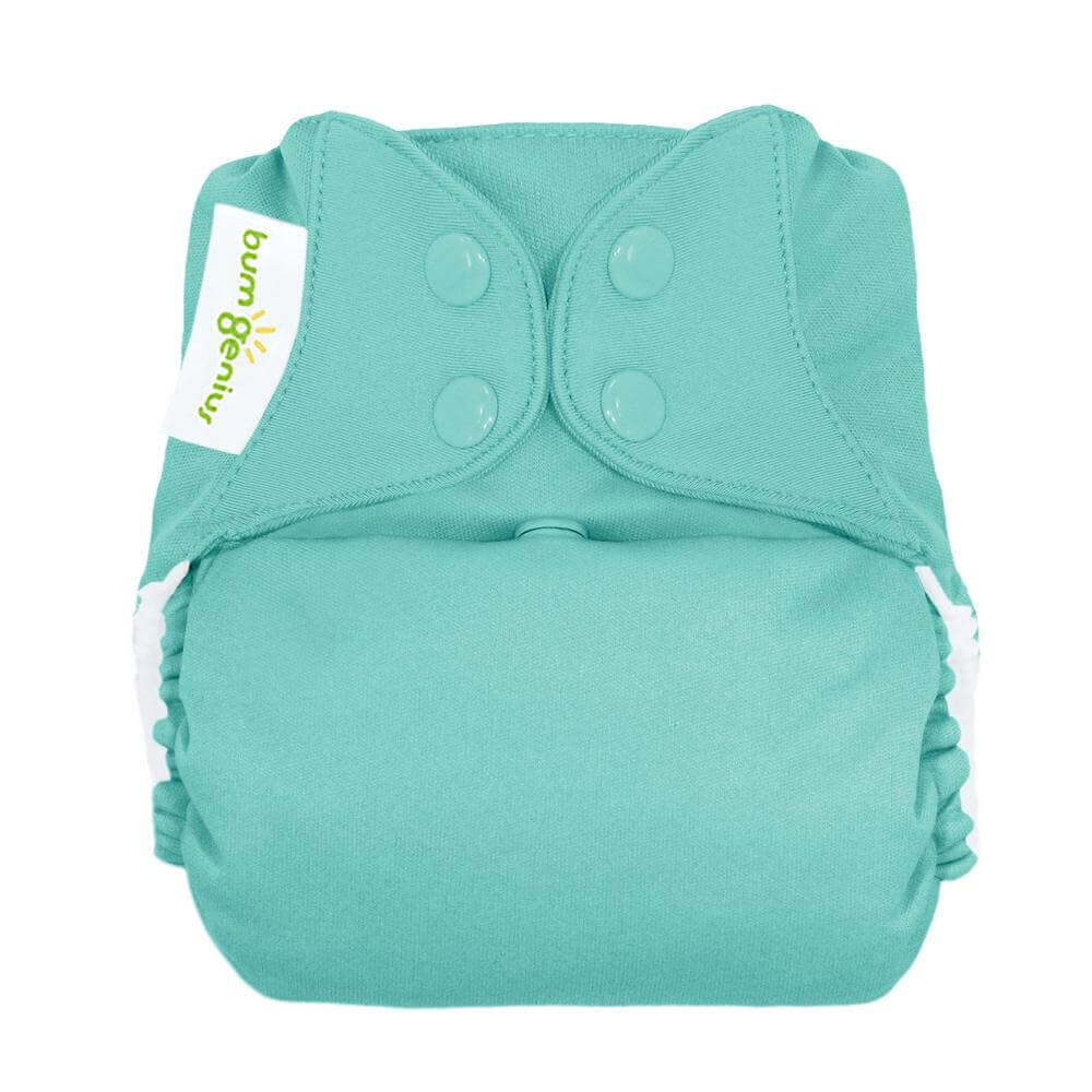 BumGenius Freetime All-In-One One-Size Cloth Nappy Colour: Jelly reusable nappies Earthlets