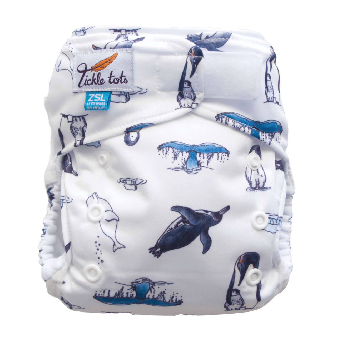 Tickle Tots All-In-Two Nappy Colour: Polar reusable nappies Earthlets